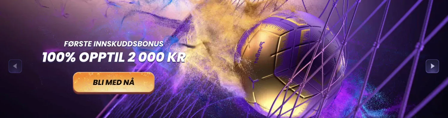 Promotional Banner